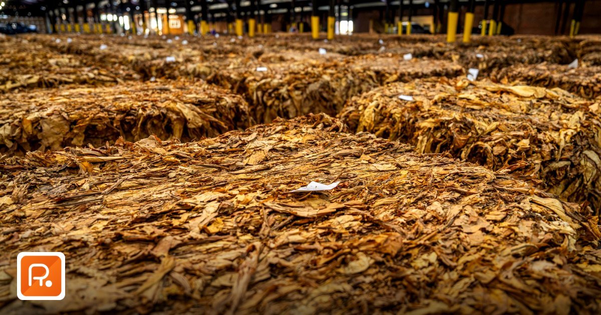 The Complete PRQ Guide: How to Source Products in Bulk Across the Middle East - stacks of dried tobacco leaves stored