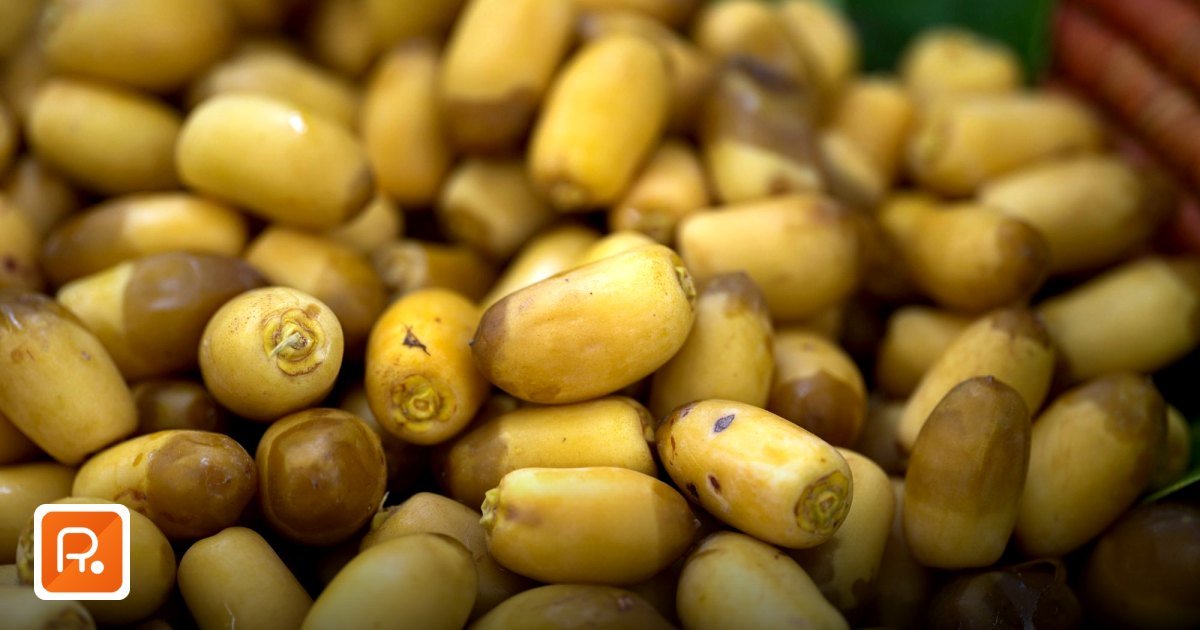 Saudi Arabia Wholesale Distributors: Verified B2B Buyer's Guide 2026 - close-up of fresh dates piled in a market in ,